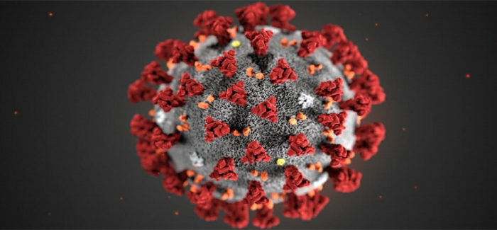 ¿Cómo se comporta el virus COVID-19 dentro del cuerpo humano?
